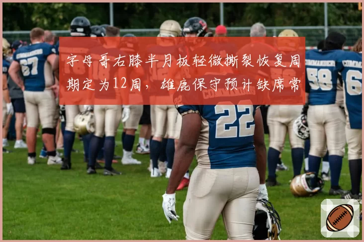 字母哥右膝半月板轻微撕裂恢复周期定为12周，雄鹿保守预计缺席常规赛前20场__br_