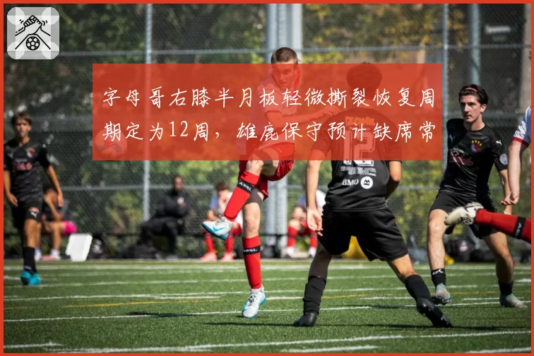 字母哥右膝半月板轻微撕裂恢复周期定为12周，雄鹿保守预计缺席常规赛前20场__br_